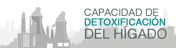 Capacidad de detoxificación del hígado