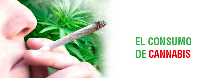 Consumo de cannabis en nuestros jóvenes