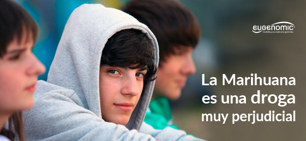 La Marihuana es una droga muy perjudicial