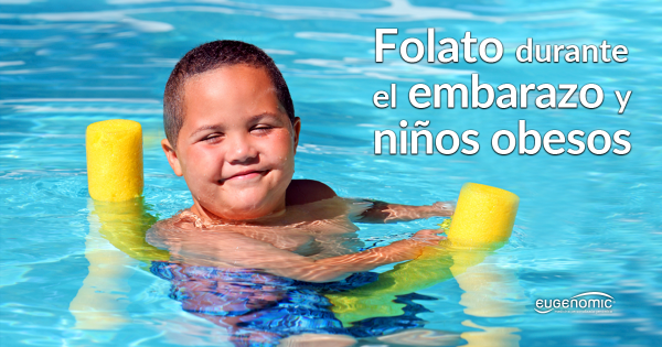 folato-durante-el-embarazo-fb