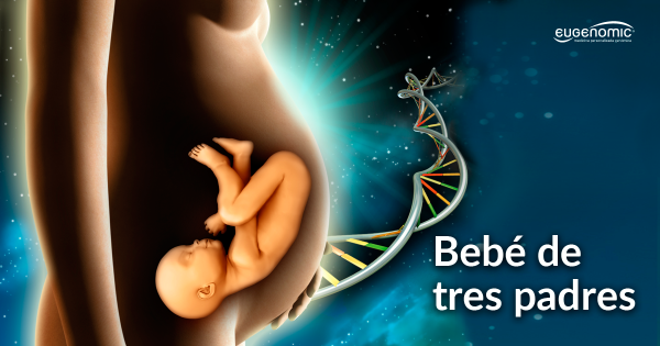 Bebé de tres padres