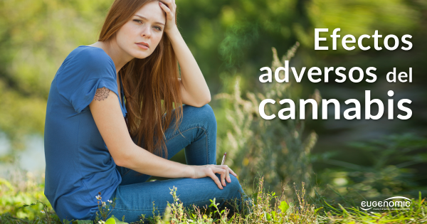 Efectos adversos del cannabis: nuevos trabajos