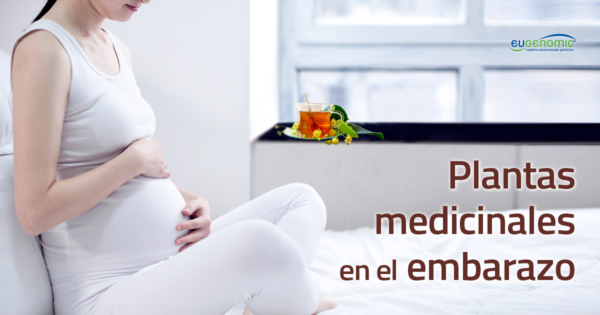Plantas medicinales en el embarazo